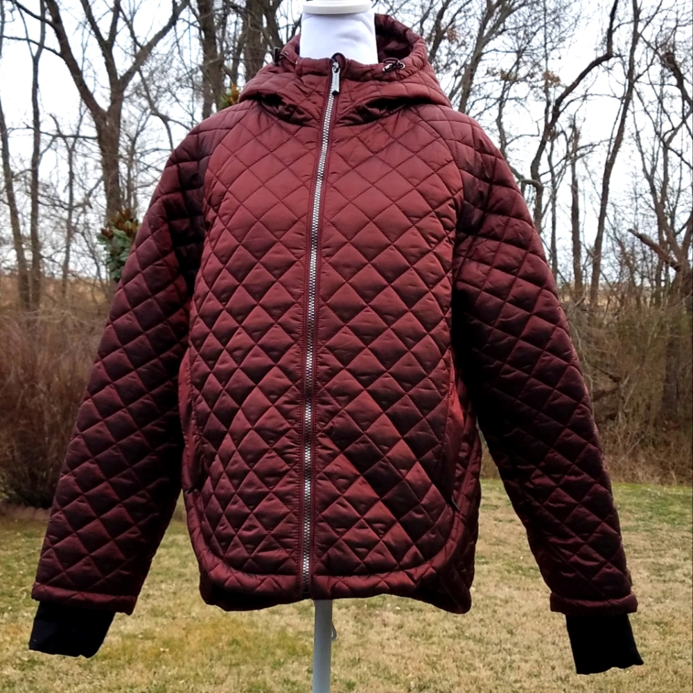 BCBG MaxAzria Metallic Burgundy Jacket